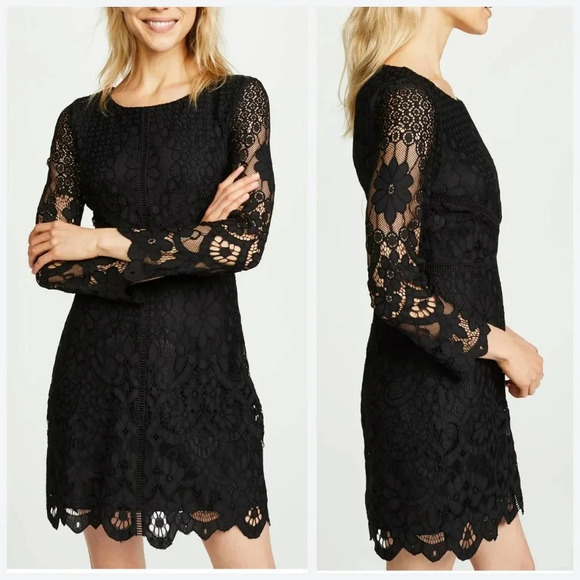 cupcakes & cashmere Dresses & Skirts - CUPCAKES & CASHMERE Nwt Makenna Black All-Over Lace Dress, Scalloped Hem, 10